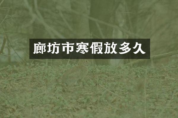 廊坊市寒假放多久