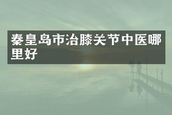 秦皇岛市治膝关节中医哪里好