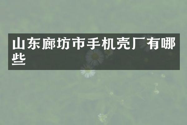 山东廊坊市手机壳厂有哪些