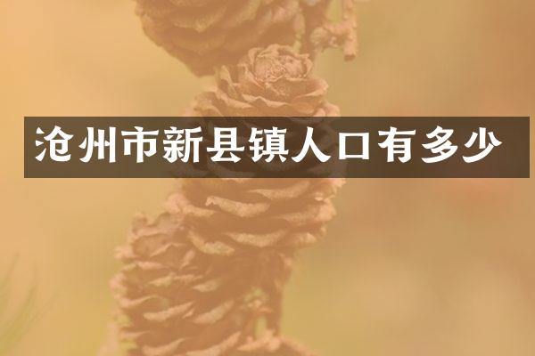 沧州市新县镇人口有多少