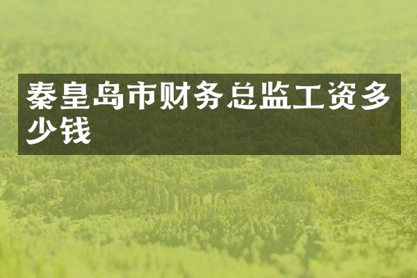 秦皇岛市财务总监工资多少钱