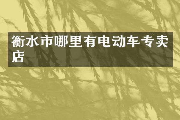 衡水市哪里有电动车专卖店