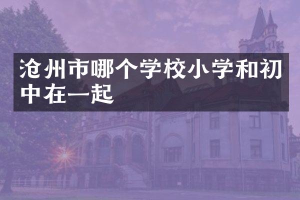 沧州市哪个学校小学和初中在一起