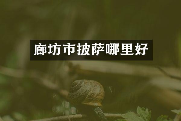 廊坊市披萨哪里好