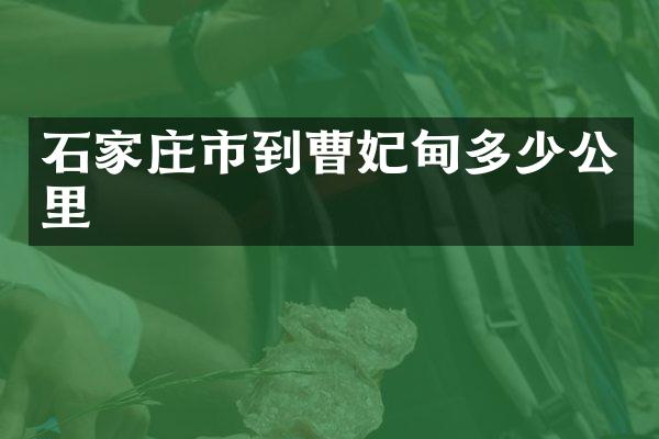 石家庄市到曹妃甸多少公里