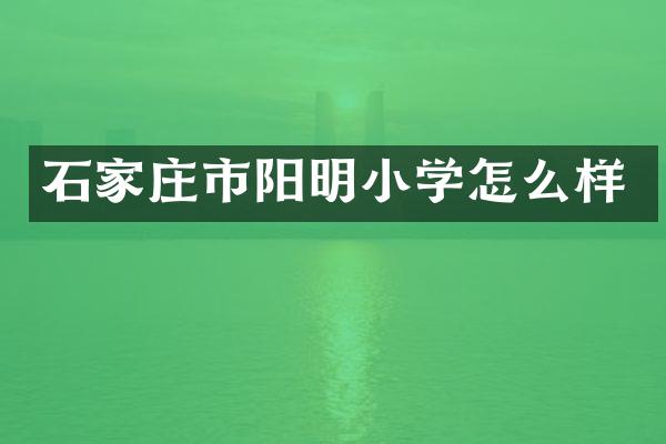 石家庄市阳明小学怎么样