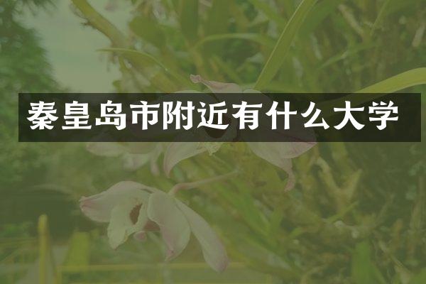 秦皇岛市附近有什么大学