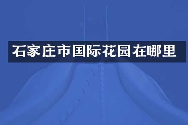石家庄市国际花园在哪里