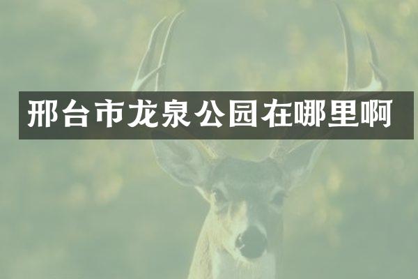 邢台市龙泉公园在哪里啊