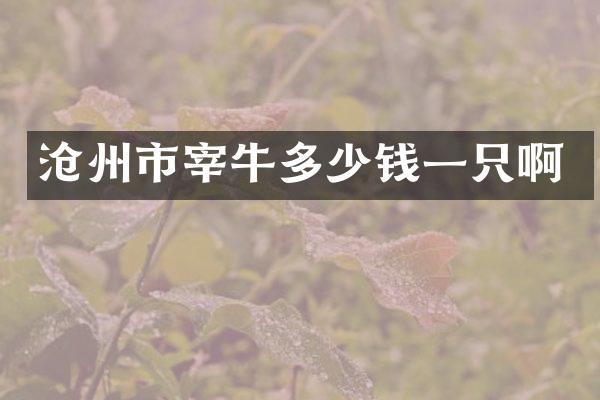 沧州市宰牛多少钱一只啊