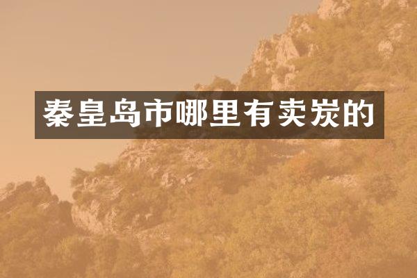 秦皇岛市哪里有卖炭的