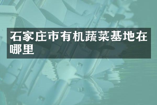 石家庄市有机蔬菜基地在哪里