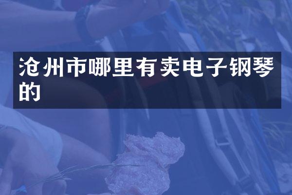 沧州市哪里有卖电子钢琴的