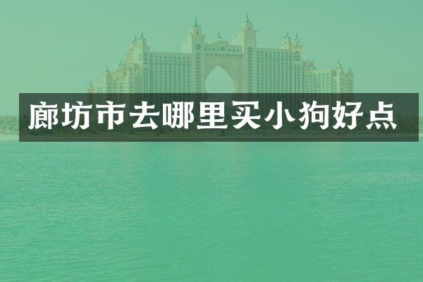 廊坊市去哪里买小狗好点