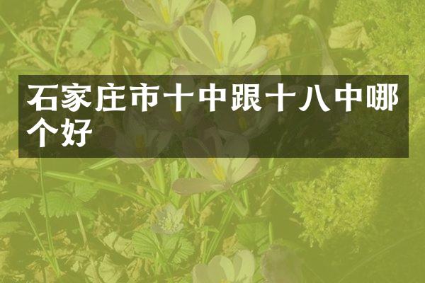 石家庄市十中跟十八中哪个好