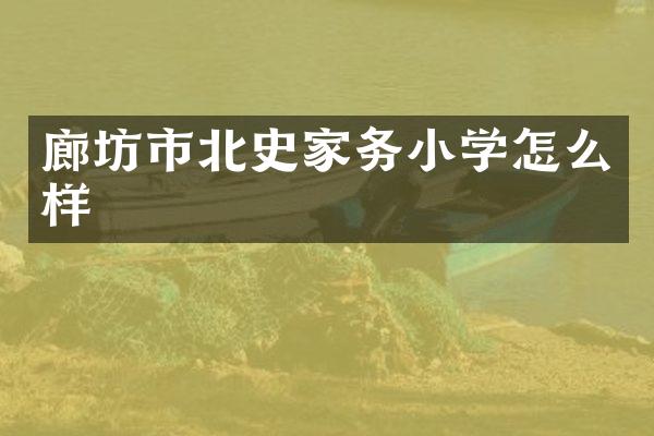 廊坊市北史家务小学怎么样