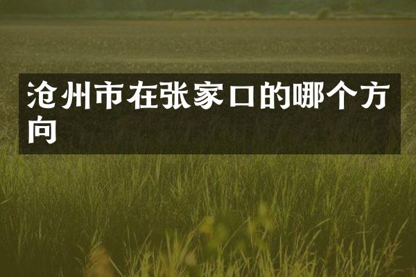 沧州市在张家口的哪个方向