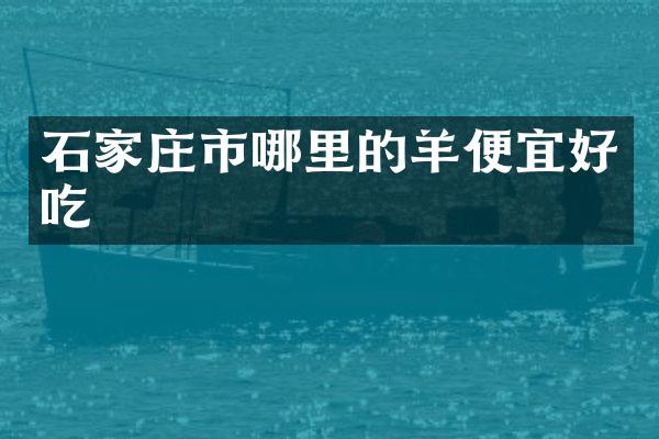 石家庄市哪里的羊便宜好吃