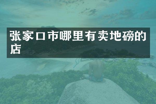 张家口市哪里有卖地磅的店