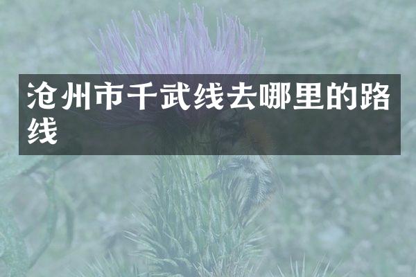 沧州市千武线去哪里的路线