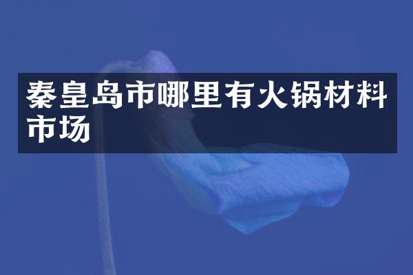 秦皇岛市哪里有火锅材料市场