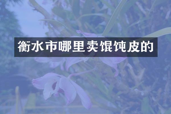 衡水市哪里卖馄饨皮的