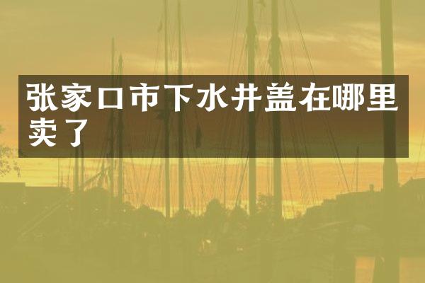 张家口市下水井盖在哪里卖了