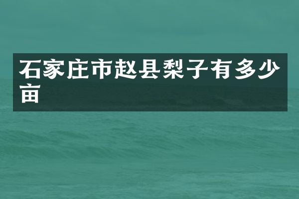 石家庄市赵县梨子有多少亩