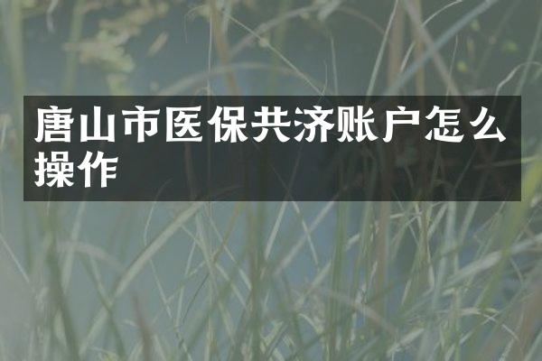 唐山市医保共济账户怎么操作