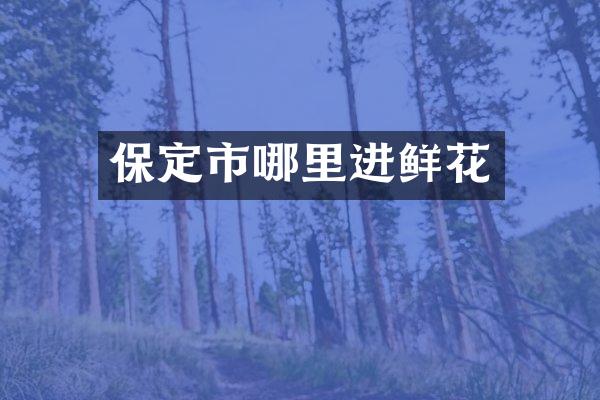 保定市哪里进鲜花