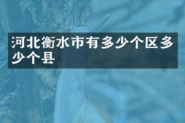 河北衡水市有多少个区多少个县