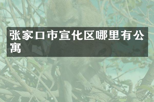 张家口市宣化区哪里有公寓