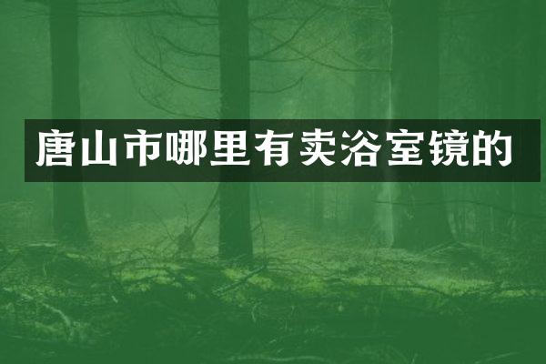 唐山市哪里有卖浴室镜的