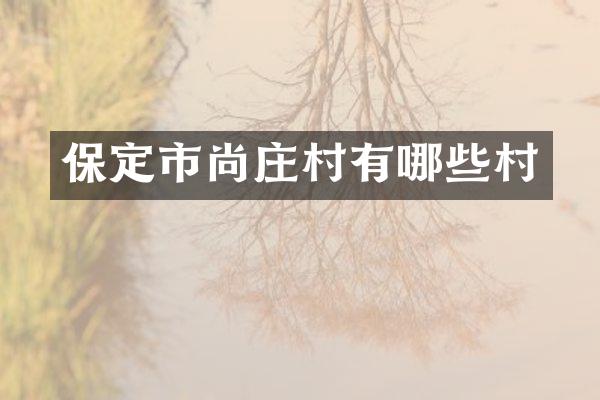 保定市尚庄村有哪些村