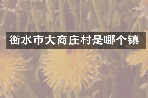 衡水市大商庄村是哪个镇