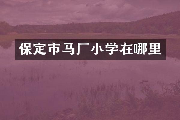 保定市马厂小学在哪里