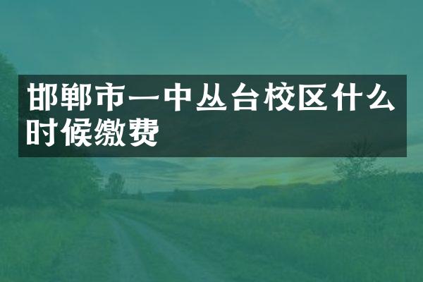 邯郸市一中丛台校区什么时候缴费