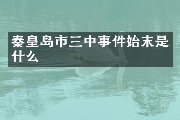 秦皇岛市三中事件始末是什么