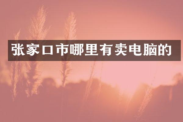 张家口市哪里有卖电脑的