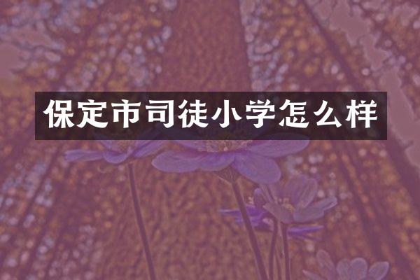 保定市司徒小学怎么样