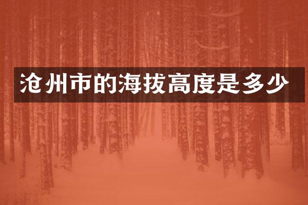 沧州市的海拔高度是多少