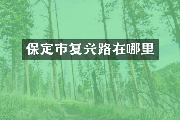 保定市复兴路在哪里