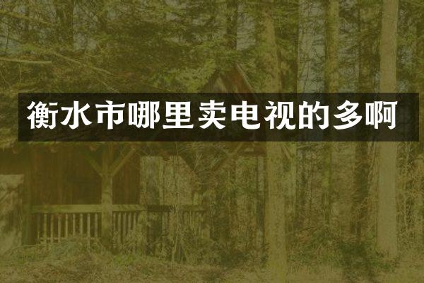 衡水市哪里卖电视的多啊
