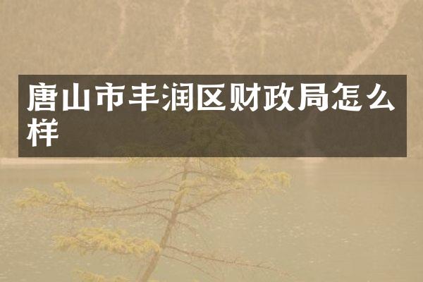 唐山市丰润区财政局怎么样