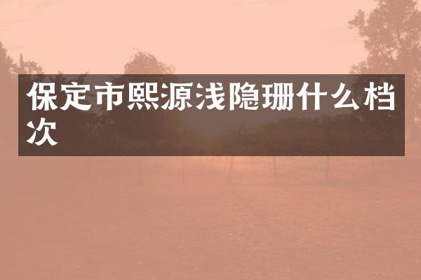 保定市熙源浅隐珊什么档次