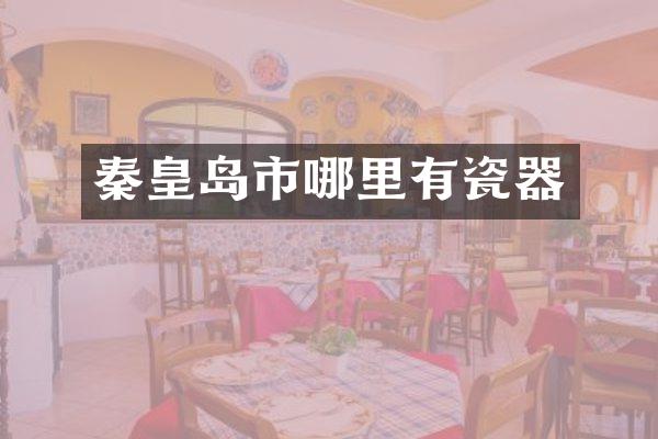 秦皇岛市哪里有瓷器
