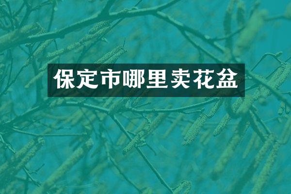 保定市哪里卖花盆