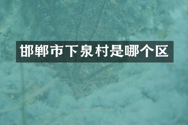 邯郸市下泉村是哪个区