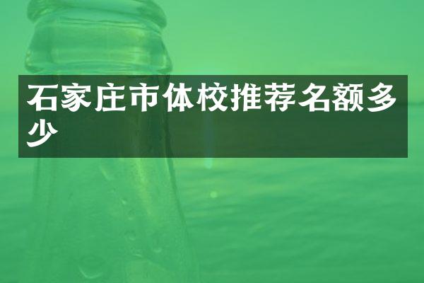 石家庄市体校推荐名额多少