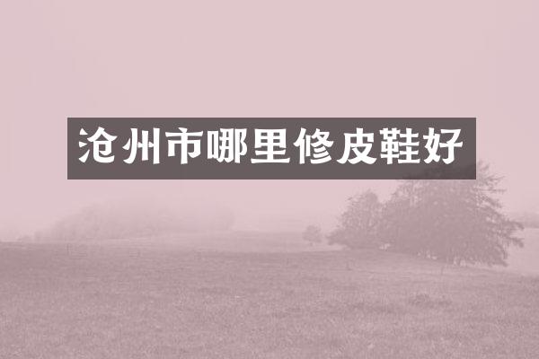 沧州市哪里修皮鞋好